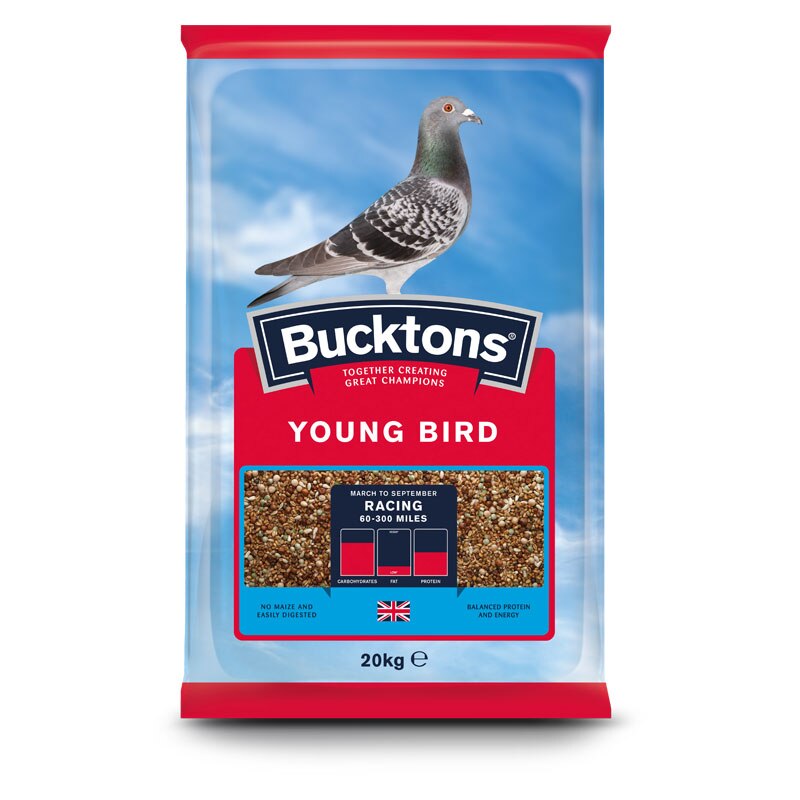 Buckton Pigeon Young Bird 20kg Bird Food